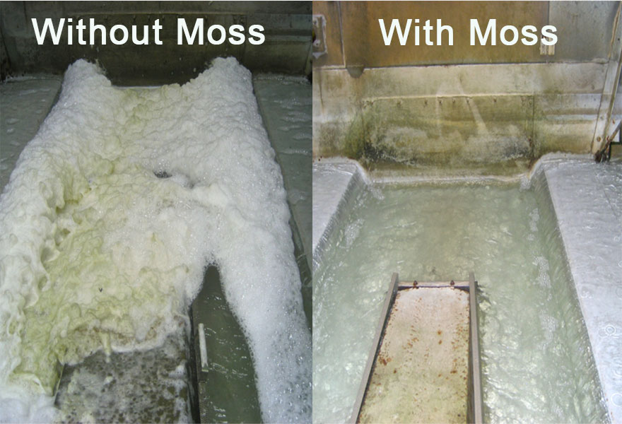 Cooling Tower before and after being treated with moss