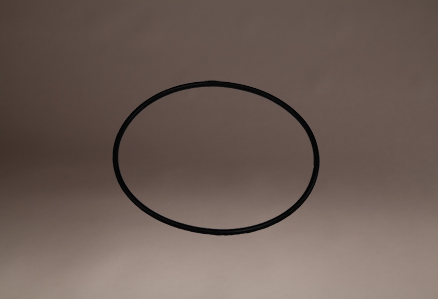 PoolStart-O-ring(880x600)