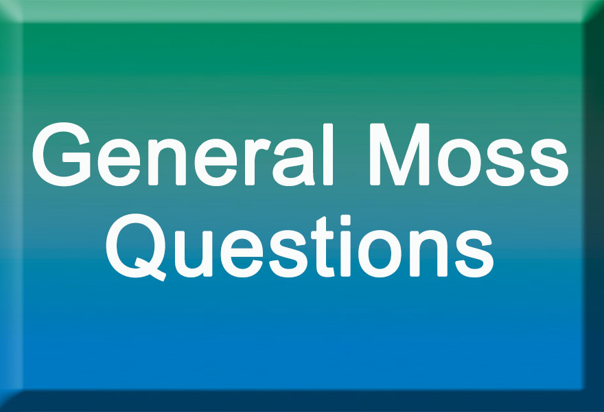 General Moss QuestionsBrochures-box
