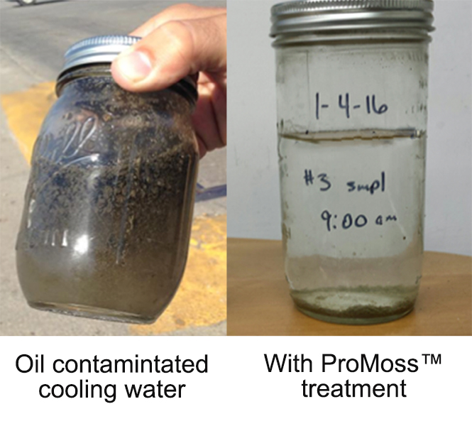 ProMoss is a plant-based water treatment solution